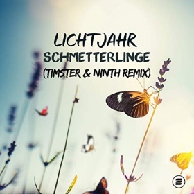 LICHTJAHR - SCHMETTERLINGE (TIMSTER & NINTH REMIX)